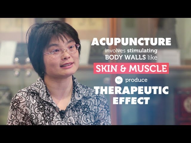 How does acupuncture work? | RMIT University