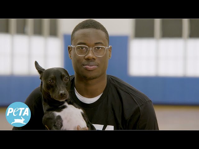 ‘Chicago Bulls’ Jalen Smith is an MVP for Dogs This Winter-Here’s How He’s Making a Difference!