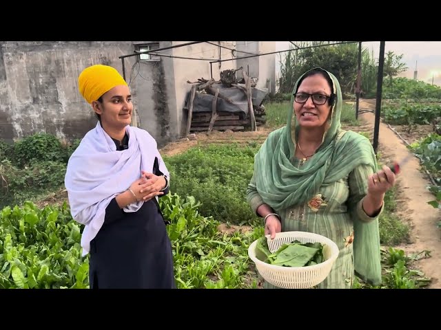 Dahi Chickpea Sandwich | ਅੱਜ ਕੱਲ ਦੇ ਮੁੰਡਿਆਂ ਨੂੰ ਕਿਸੇ ਕੰਮ ਬਾਰੇ ਕੁੱਛ ਨਹੀਂ ਪਤਾ