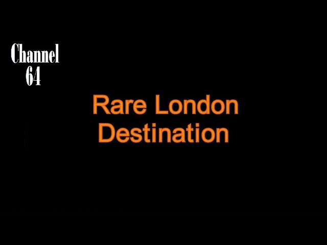 Rare London Destination (168) Brixton Bus Changes (FEB 2025)