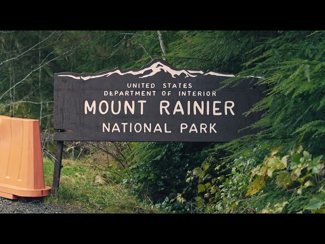 Rainy PNW Forest - Olympus E-M10 III video