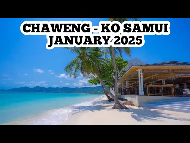 #31 CHAWENG - KO SAMUI. THAILAND. JANUARY 2025.