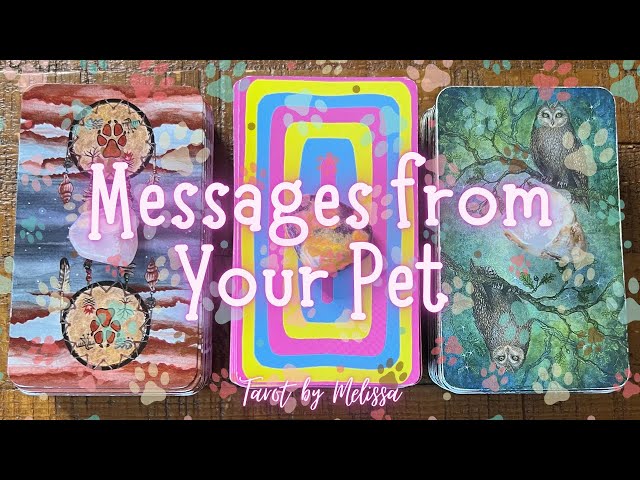 Pick-a-Card: Messages from Your Pet 🐾🐾🐾