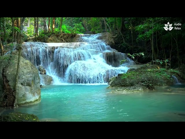 Calming jungle scenery. Turquoise waterfall sounds for sleep, relax, study