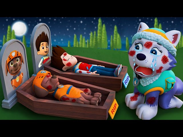 R.I.P! Goodbye Paw Patrol! Don't Leave Everest Alone | Very Sad Story | Ultimate Rescue