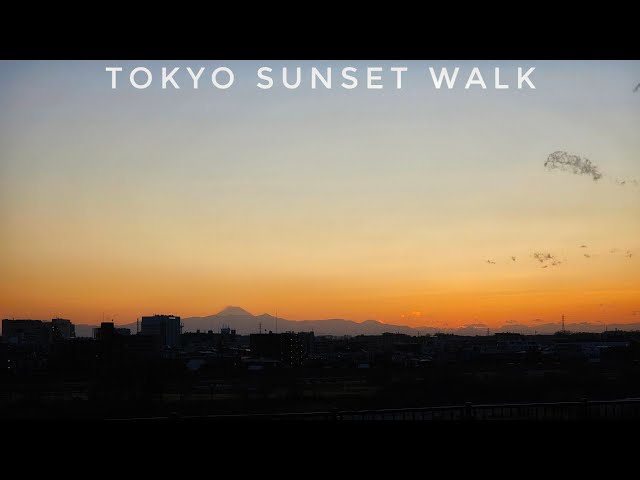 Live Tokyo Walk - Tama River Sunset Stroll