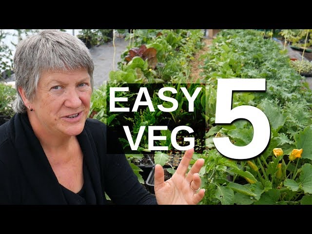 5 EASY Perennial Vegetables (Harvest food year after year)