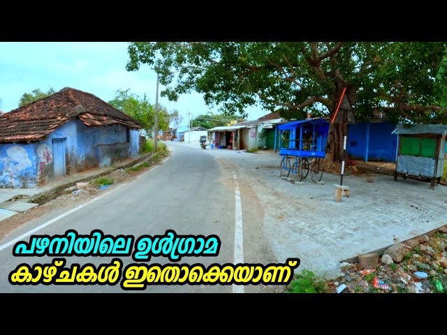 പഴനിയിലെ ഉൾഗ്രാമ കാഴ്ചകൾ  ഇങ്ങനെയൊക്കെയാണ് | Palani  Rural Village Life