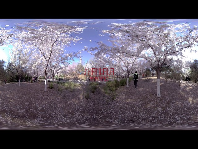 China | Beijing | VR | Spring in Beijing（北京之春）