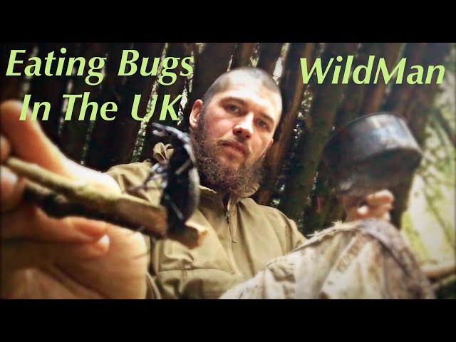 Catching, Cooking and Eating Bugs UK