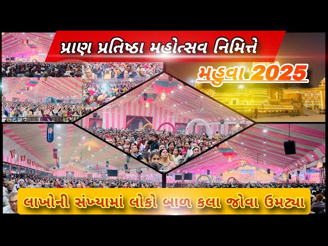 લાખોની સંખ્યામાં લોકો કલા કૃતિ જોવા ઉમટ્યા || mahuva aanamd Melo