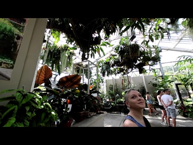 San Diego Botanic Garden - World Of Houseplants - Canon RF5.2mm F2.8 Dual Fisheye on the Canon R5