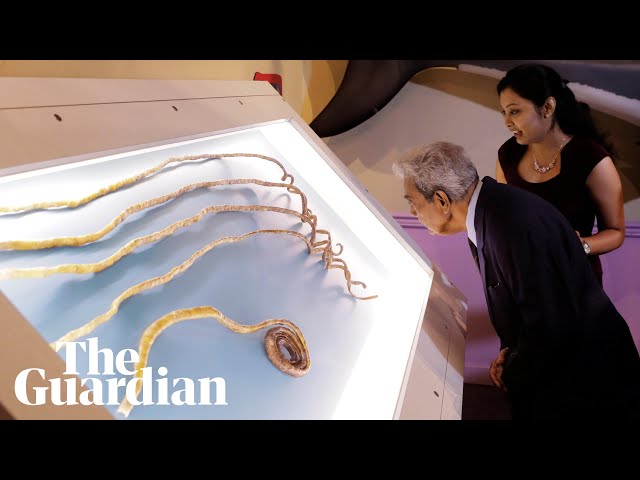 Man with world's longest fingernails finally cuts them off