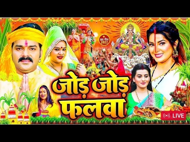 Live: स्पेशल छठ पूजा गीत 2024 || परम्परिक देहाती छठ |Chhath Puja Song 2024 |  पारम्परिक #Chhath_Geet