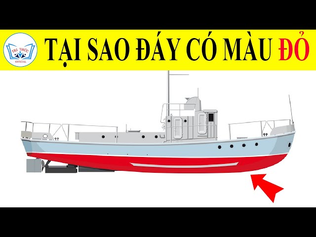 Tại sao tàu thuyền sơn màu đỏ phần đáy? TRI THỨC Official