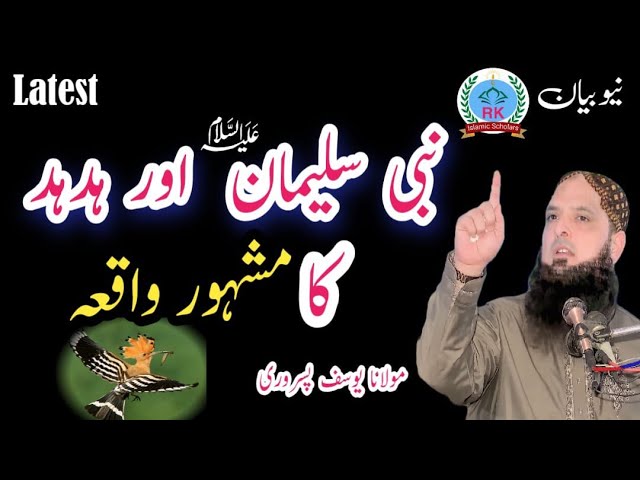 Nabi suleman a.s aur hudhud Ka mashhur waqia Maulana Yusuf pasrori new bayan 2023 new speech Yousuf