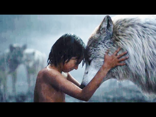 The Tale of an Orphan Boy who Became the Jungle King | Full Adventure Movie | English