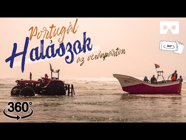 Fishing by the Atlantic Ocean: Portuguese fishermen fishing sardines | Portugal Vlog Ep 06 (HUN)