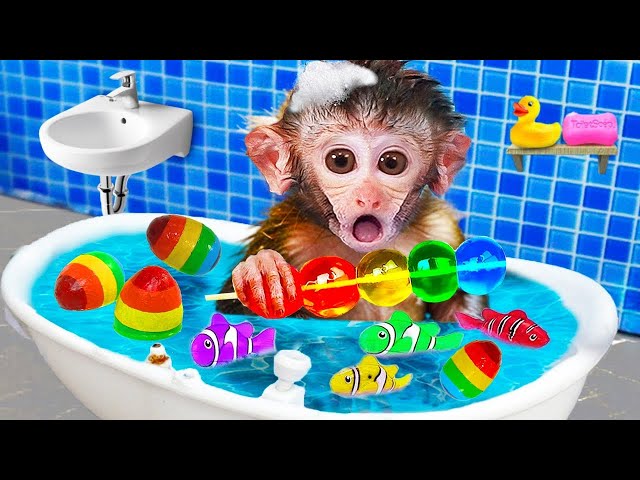 BABY MONKEY VIDEO CARTOON SWIMMING WITH CAT, DUCKLING AND BATHING IN TOILET 🔴