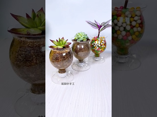 Plastic bottle are turned into flowers pots "decorate flower" part 05 #shorts #diy #flowers