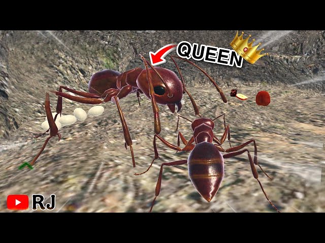 COLLECT FOOD FOR OUR QUEEN 👑 || ANT SIMULATOR 3D || RJ ||