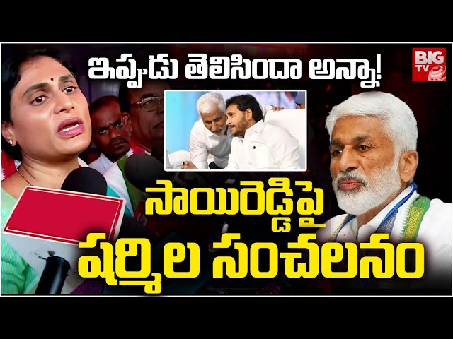 YS Sharmila First Reaction On Vijay Sai Reddy Resign | YS jagan | ఇప్పుడు తెలిసిందా అన్నా! | BIG TV