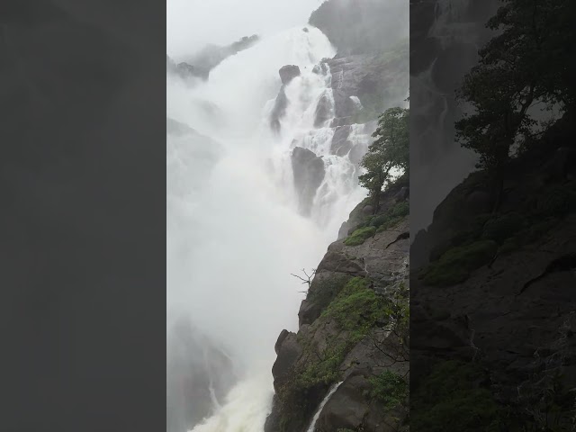 Biggest and dengars waterfall in world #waterfall #rain #for #nature #shorts #traval