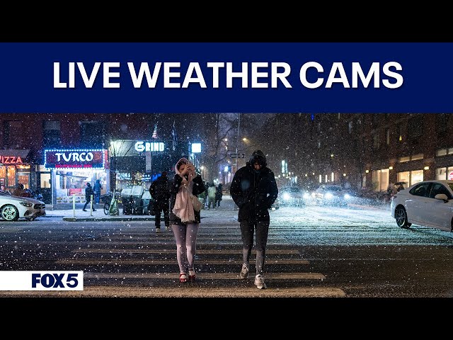 🔴Live cams in NYC, DC, Philly & beyond | FOX 5 DC