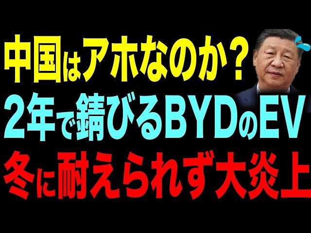 【EV業界の光と闇】中国車の耐久性崩壊＆EV政策の落とし穴【ゆっくり解説】