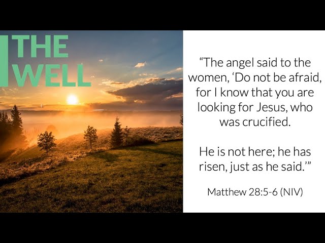 A Reflection on the Resurrection (Matthew 28:1-10)