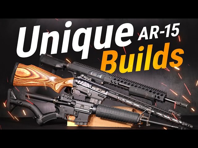 Unique and Interesting AR Builds for Unfree States