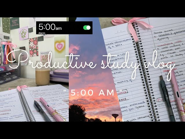 5AM study vlog ⏰ | studying for exam , lots of writing , productive day (12th grade)📓