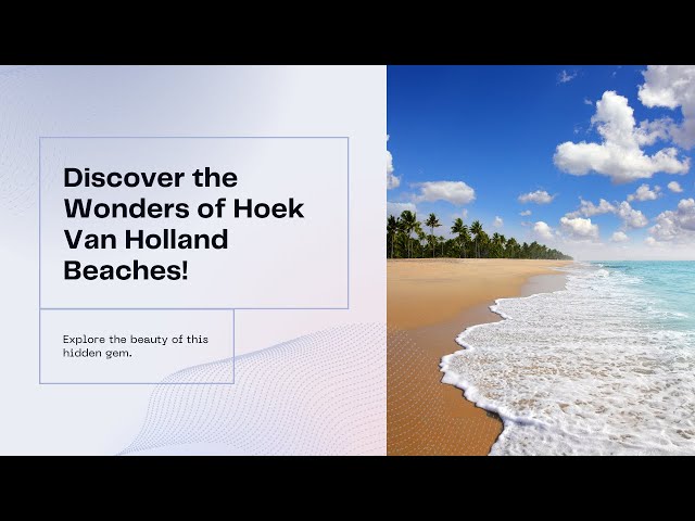 Why You Must Visit the Best Beach in the Netherlands | Hoek Van Holland 🏖️🌊