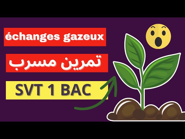 les échanges gazeux chlorophylliens 1 bac 📚 contrôle 1 🌿 فيديو يخليك تفهم شوية الدرس