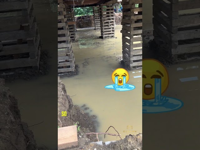 Basement is Flooded after Storm