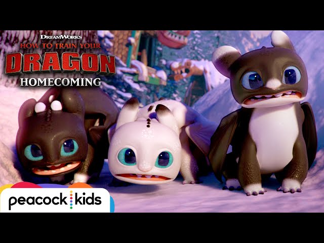 Surprise Visitors in New Berk  | HOW TO TRAIN YOUR DRAGON - HOMECOMING