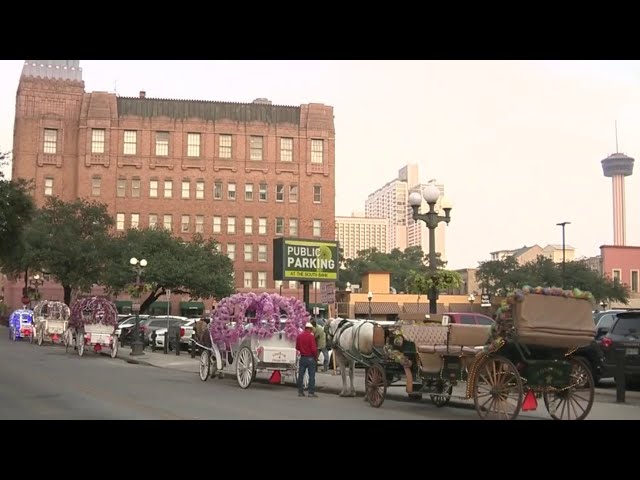 Proposed horse carriage ban trots on; San Antonio City Council to consider 1-3 year phase-out