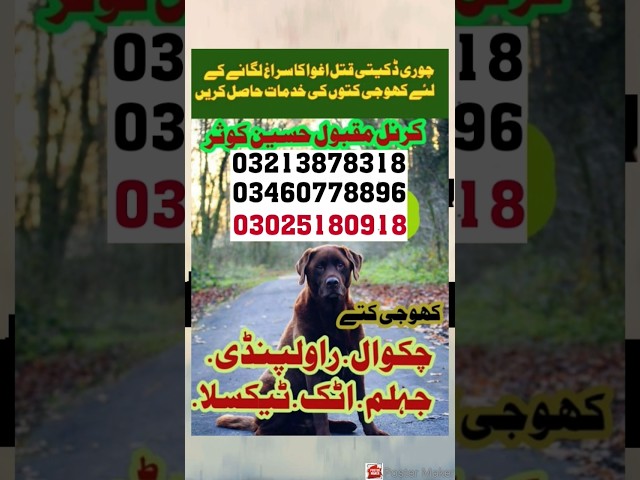 Army dog center Bahawalnagar khoji dog center Bahawalnagar