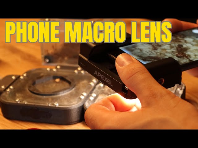 My first phone macro lense -  Apexel Macro Lens Kit with Fill Light