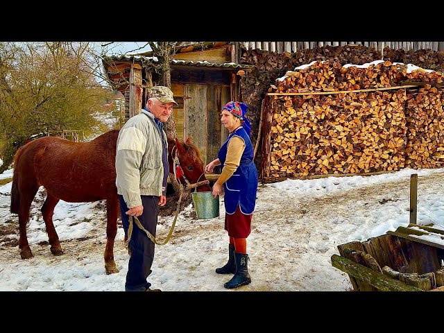 A happy family life in a high-mountain Carpathian village