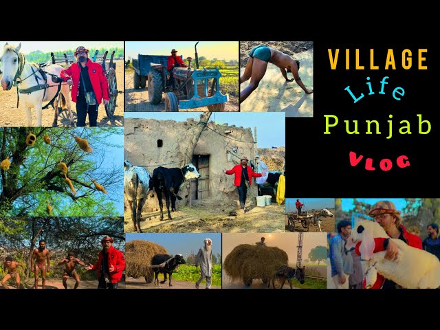 Village | Life Style | Dihat/Gaon/Pind | Mud House | Punjab | Cultural | Traditional | Scenery |Vlog