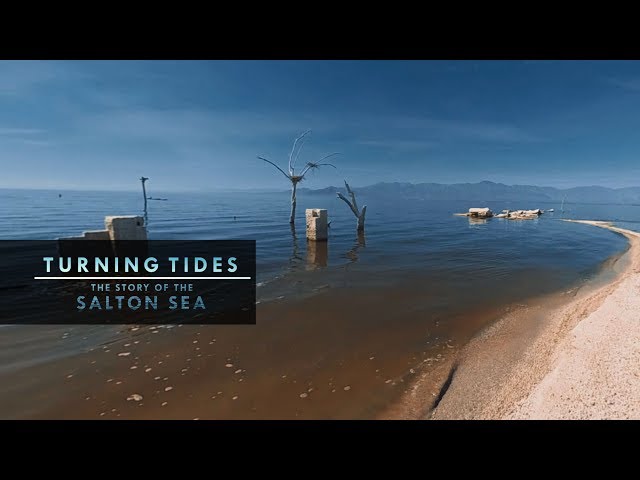 INTRODUCTION: The Salton Sea is Dying