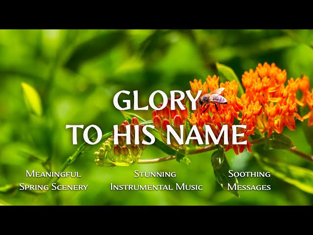 Glory To His Name : Instrumental Worship and Scriptures with Floral Forest 🌷 Christian Instrumental