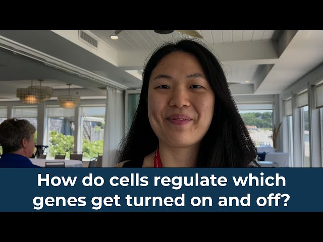 How do cells regulate which genes get turned on and off?