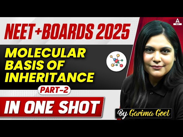 Molecular Basis Of Inheritance | Part -2| Class 12 Biology ONE SHOT | NEET+ Boards 2025| Garima Goel