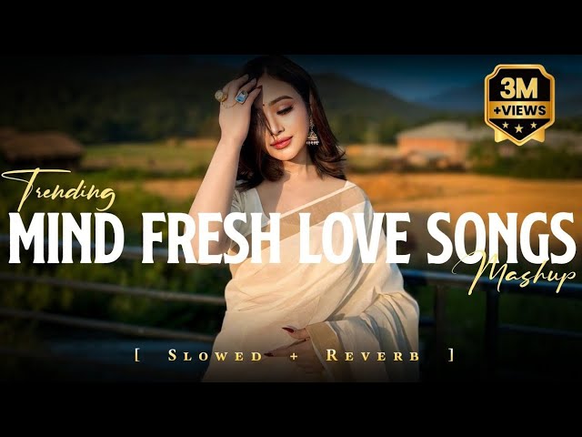 Mind Fresh Songs | Mind Relaxing Mashup | Bollywood Romantic Song |