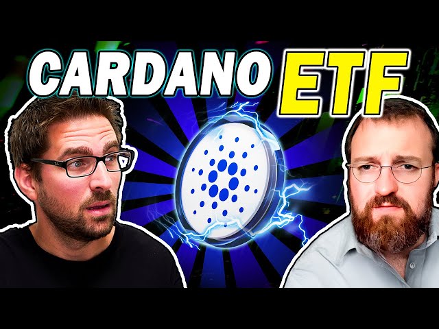 Cardano and Microsoft?? 😱