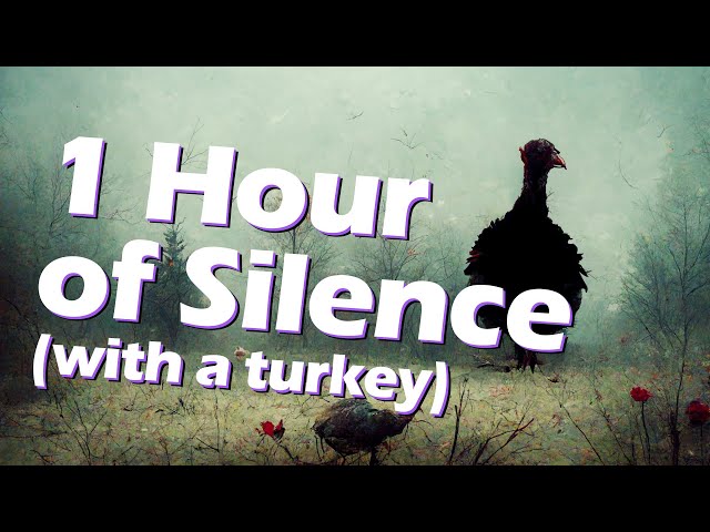 1 HOUR of silence, Occasionally Interrupted by a Turkey 🦃