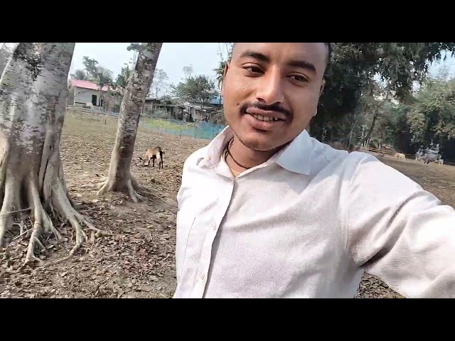 my Village Vlog