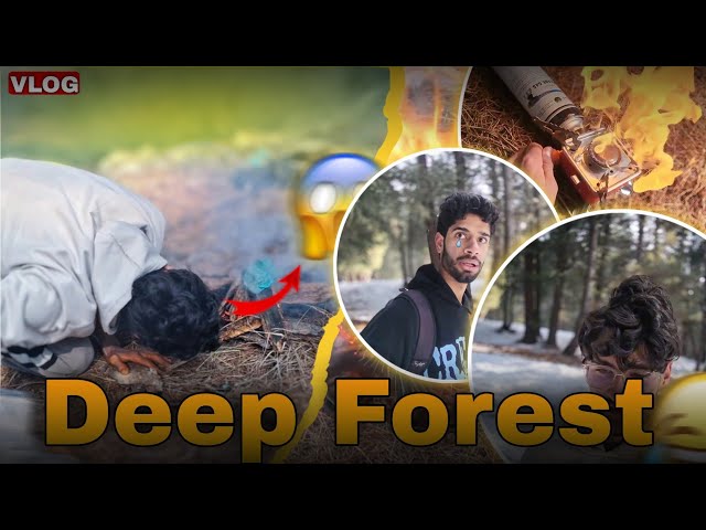 I Cooked Chicken in Deep Forest 🥰 | Jungle Mein Ye Kya Hua 😱